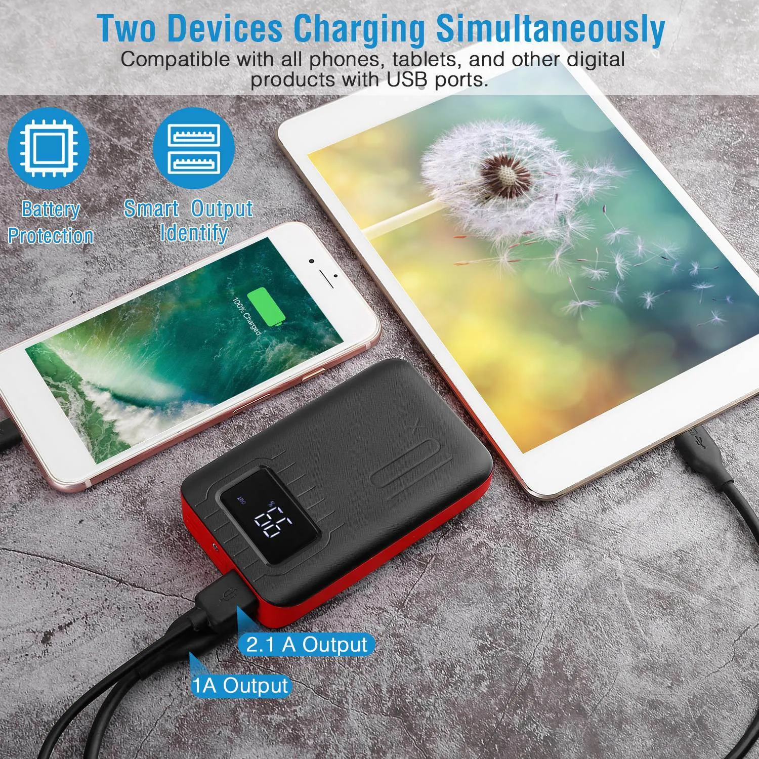 10000mAh Portable Power Bank Dual USB Charge