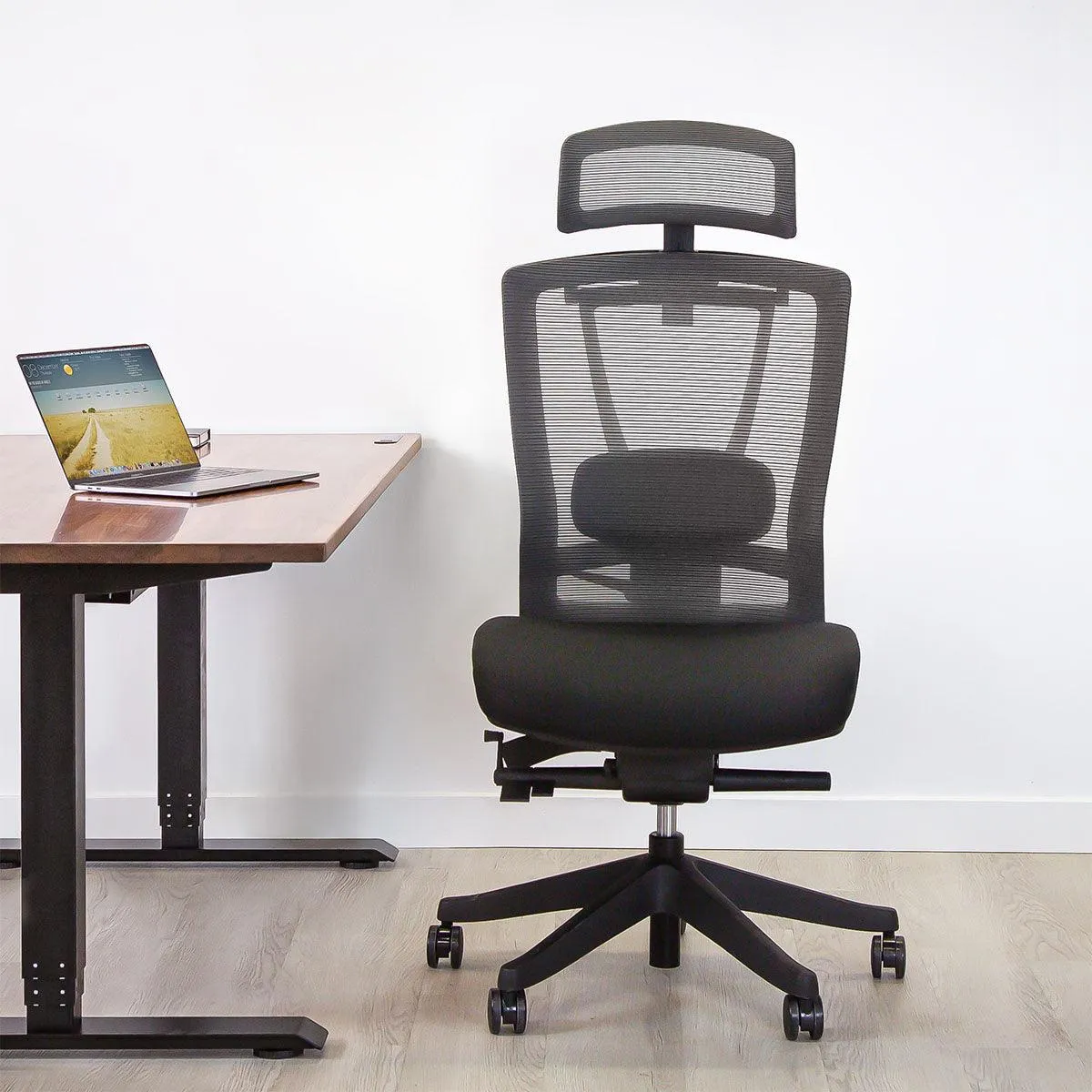 Aery Ergonomic Armless Chair