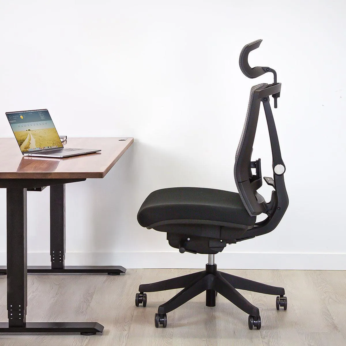 Aery Ergonomic Armless Chair