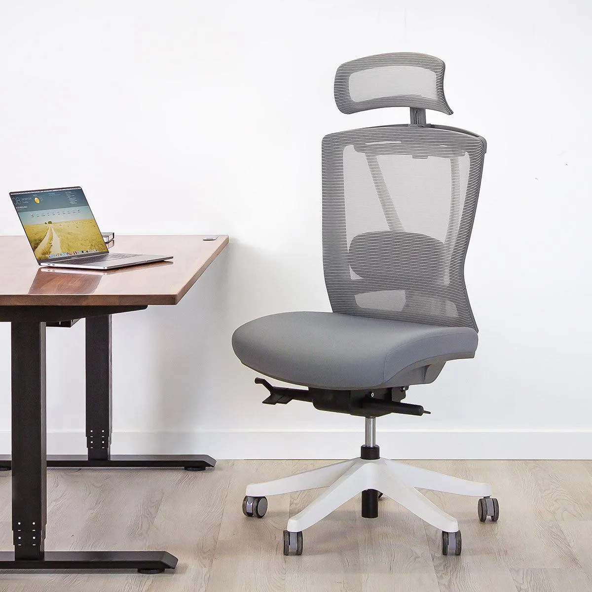 Aery Ergonomic Armless Chair