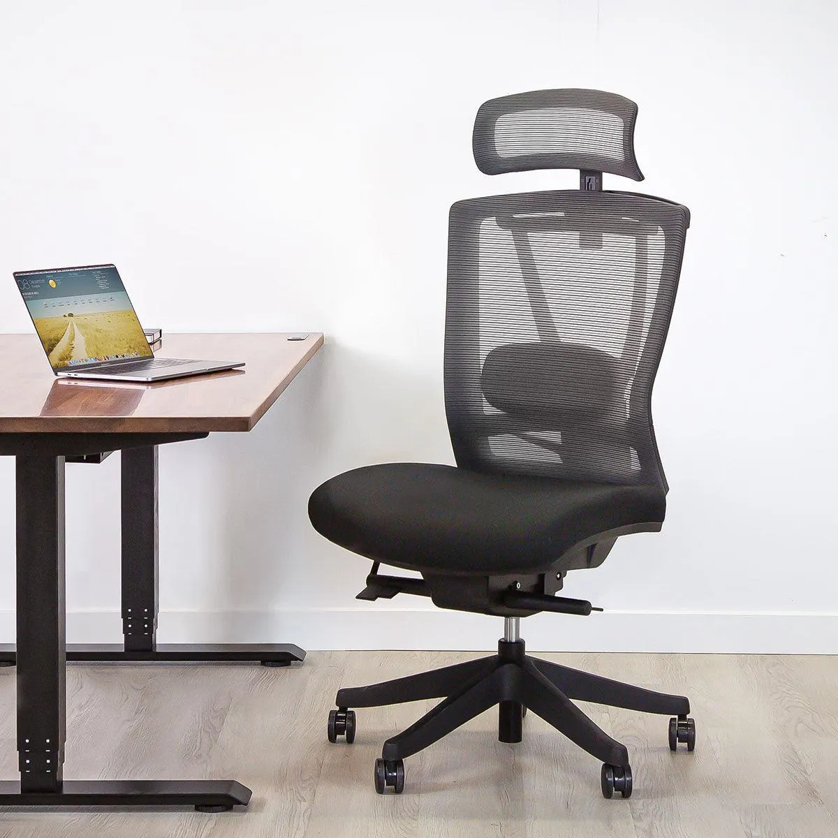 Aery Ergonomic Armless Chair