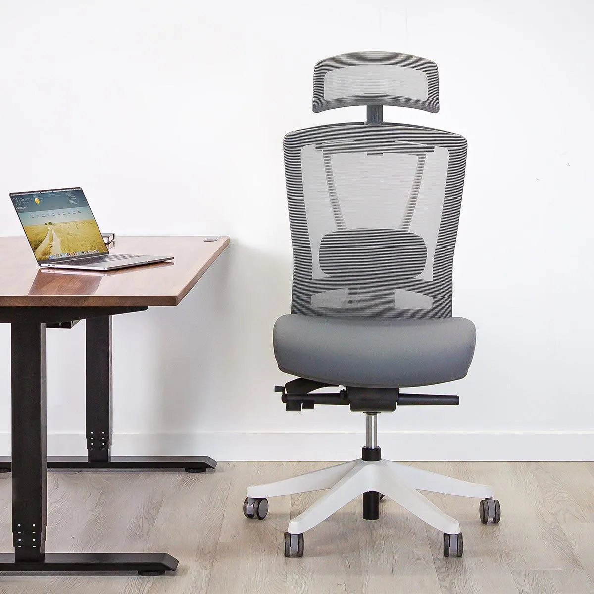 Aery Ergonomic Armless Chair