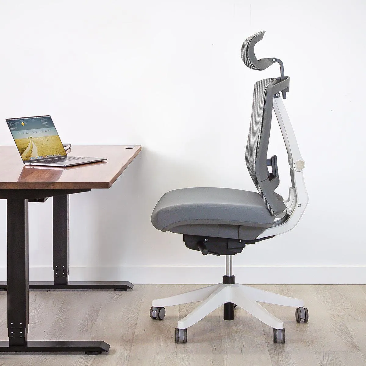 Aery Ergonomic Armless Chair