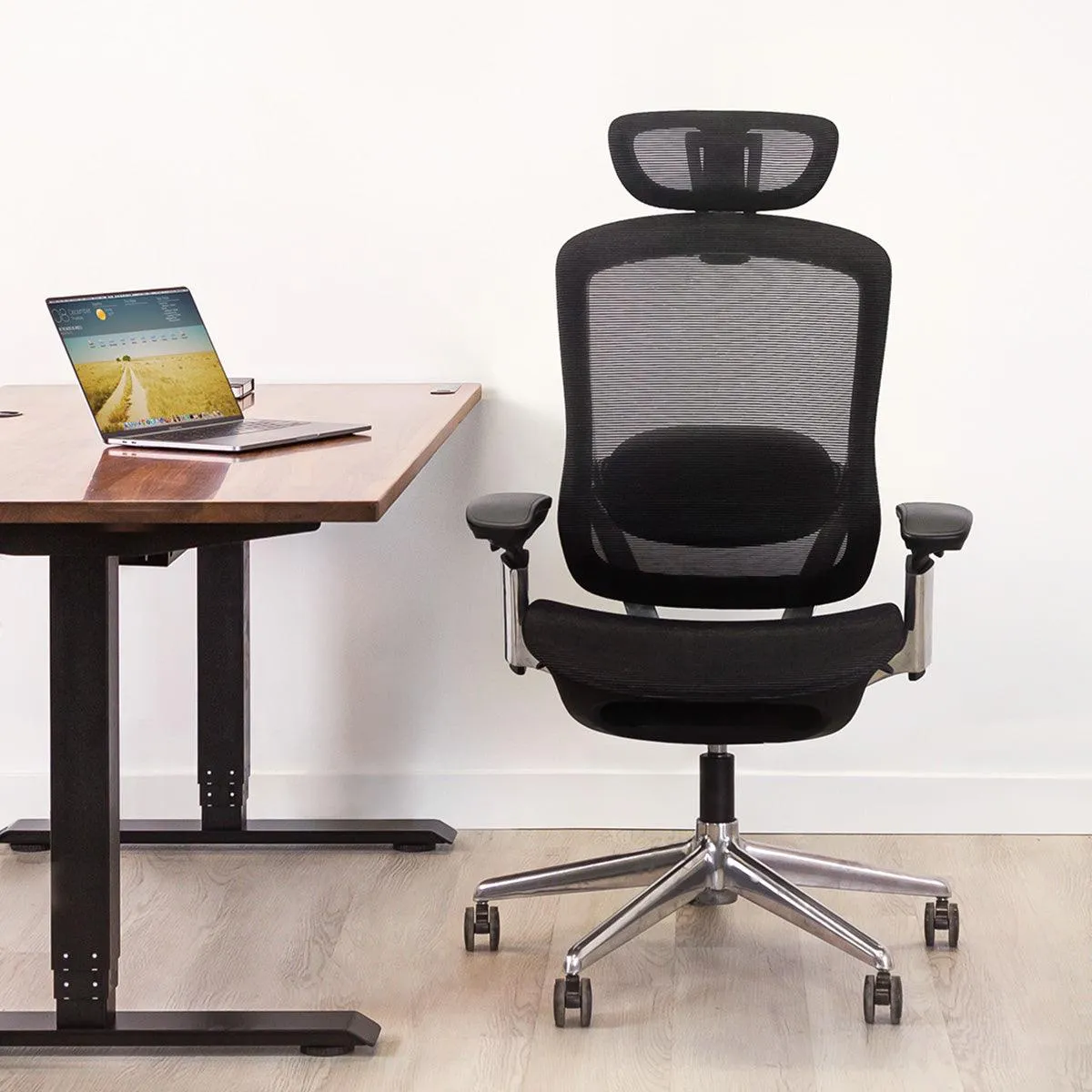 Celini Ergonomic Chair