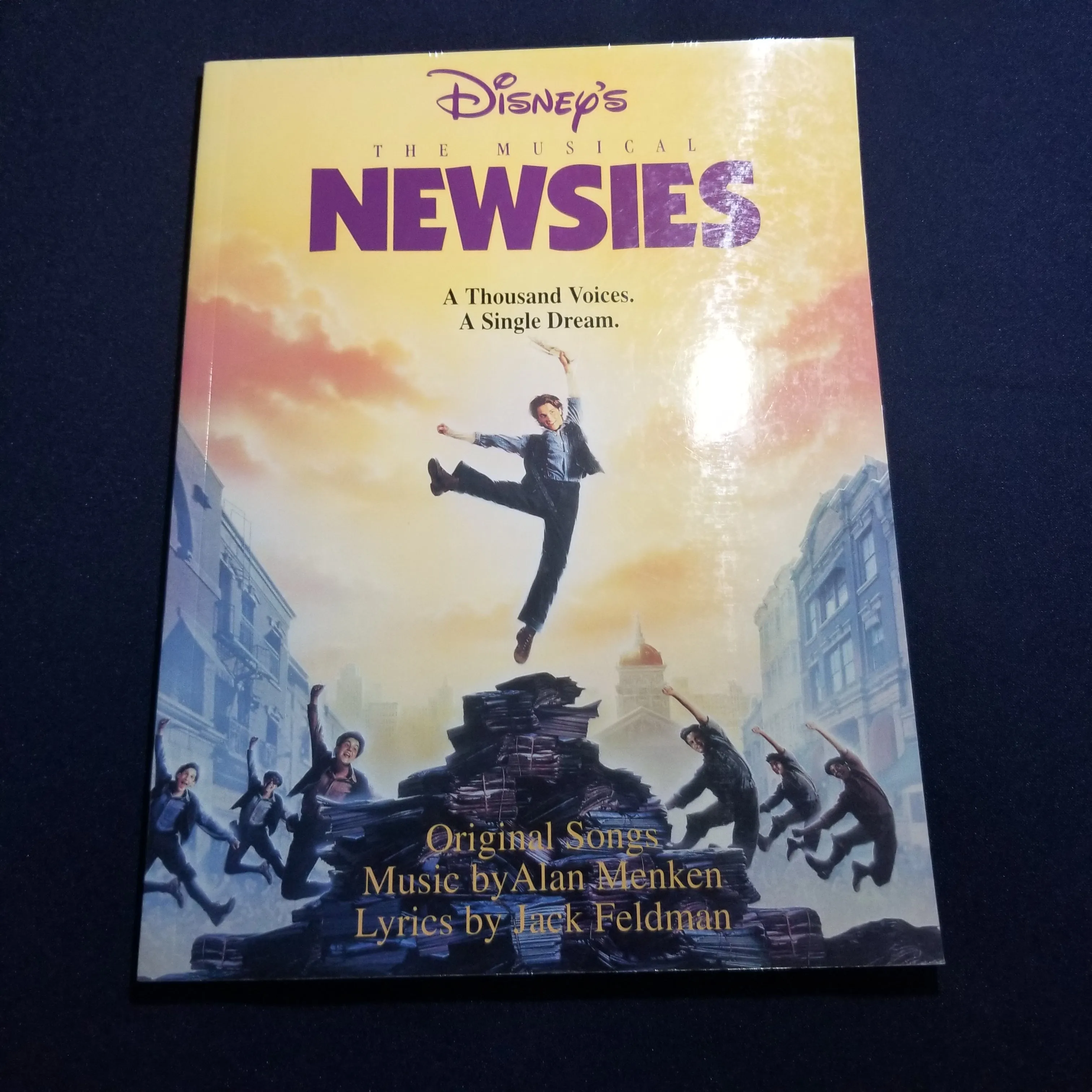 Disney's Newsies PVG