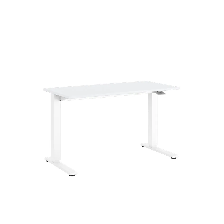 Float Sit Stand Desk