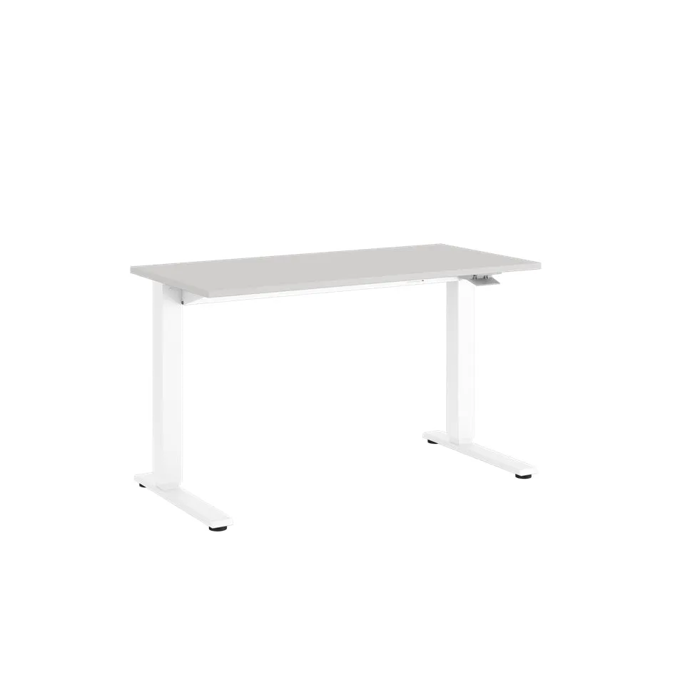 Float Sit Stand Desk