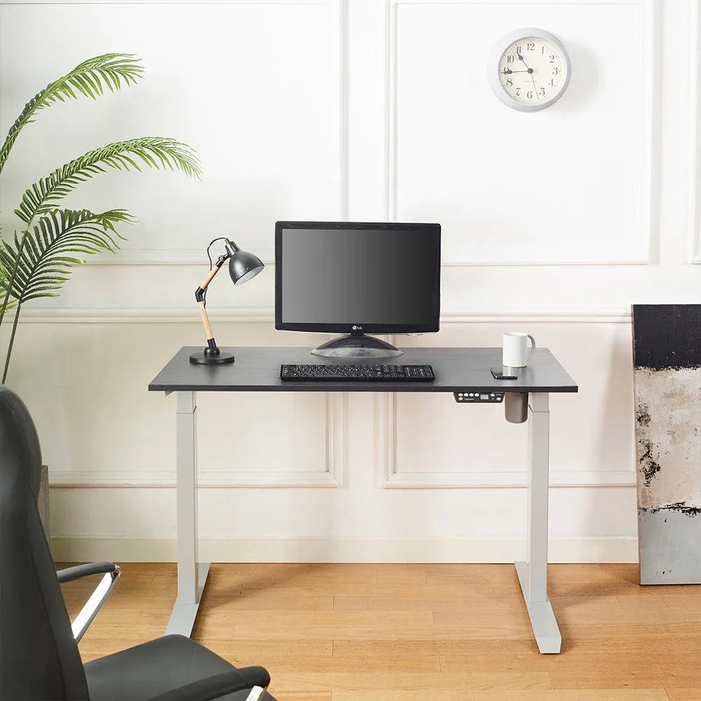 Florence Wood and Metal Electric Height Adjustable Motion Desk in Black