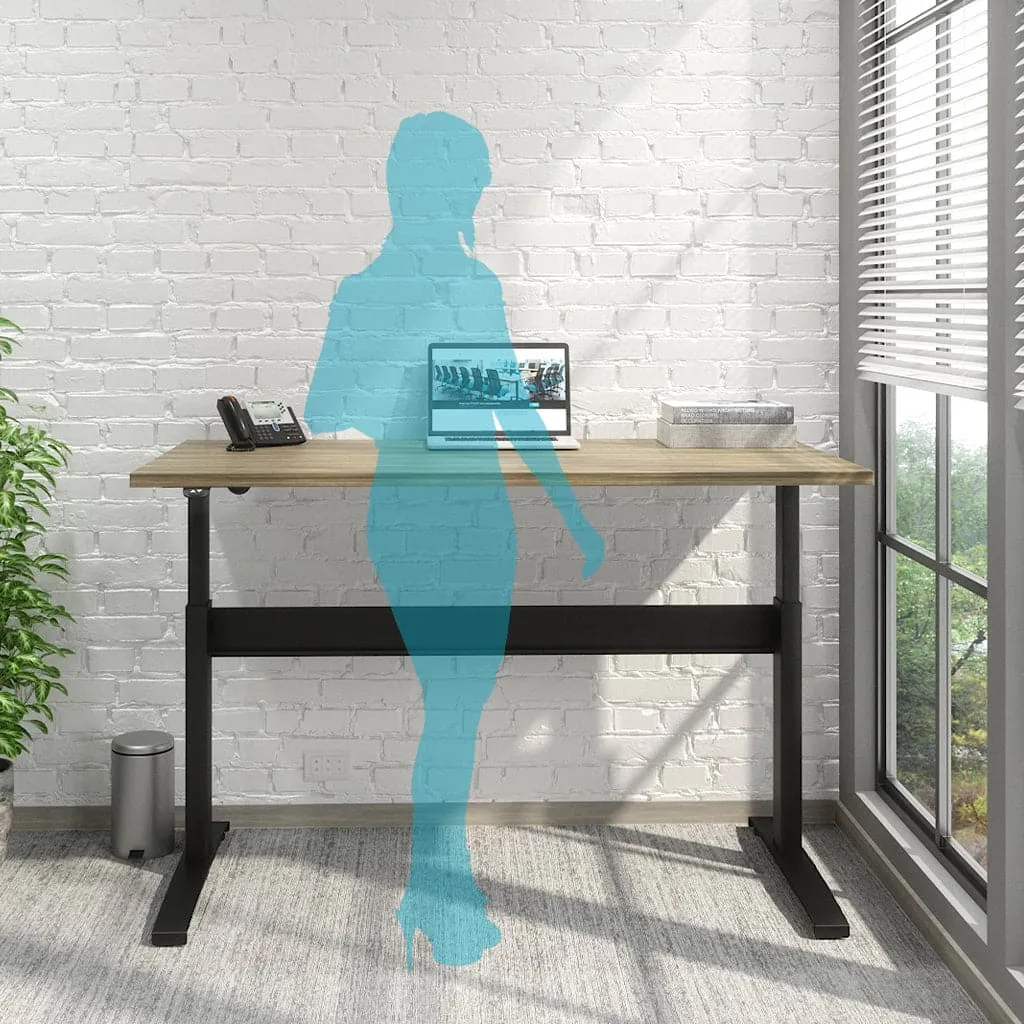 Transcend Sit to Stand Desk